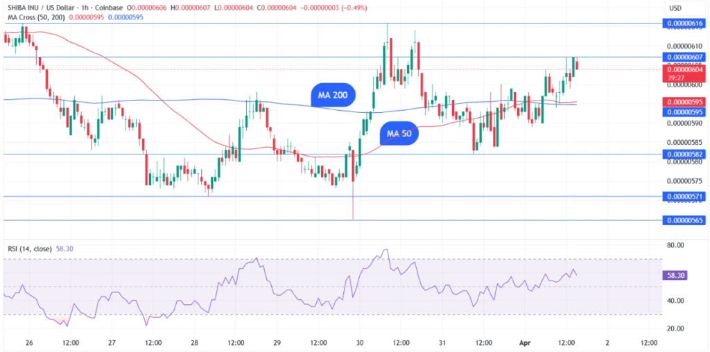 Shiba Inu技术反弹遇阻：资金流与衍生品数据揭示市场犹疑