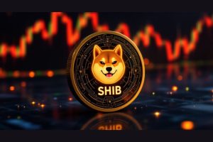 SHIB盘整蓄力：链上流出与销毁双升或预示新行情