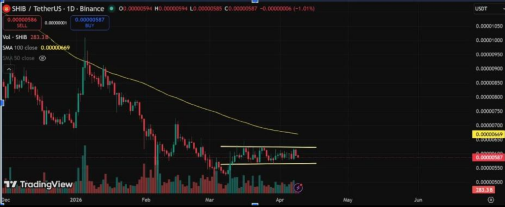SHIB盘整蓄力：0.0000060美元成关键突破关口