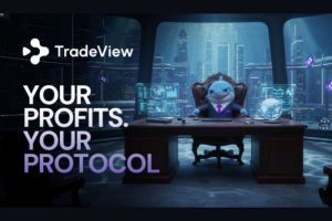 佩佩币热潮背后：杠杆与AI重构交易生态