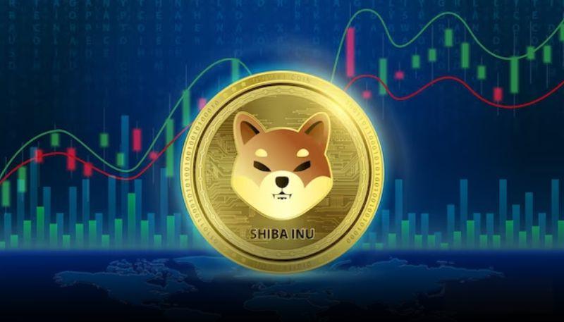 柴犬币24小时销毁率飙升405% 持续释放看涨信号