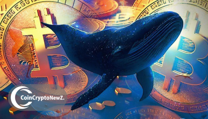 巨鲸持续加码比特币多头，轧空风险悄然积聚