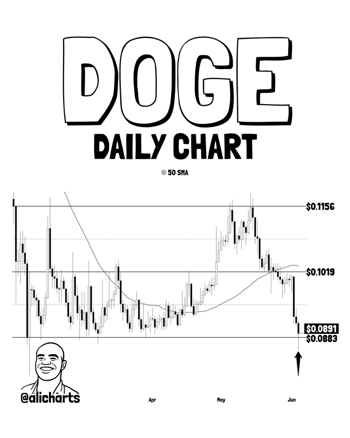 DOGE逼近关键支撑，后市走向何方？