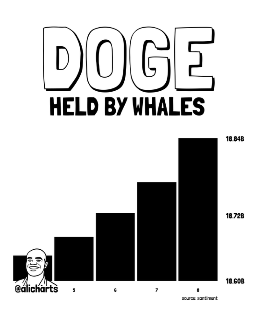 DOGE逼近关键支撑：鲸鱼增持+马斯克背书或引爆新周期