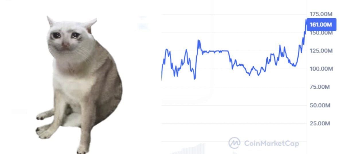 CASHCAT狂飙50%！Robinhood链上演模因币奇迹