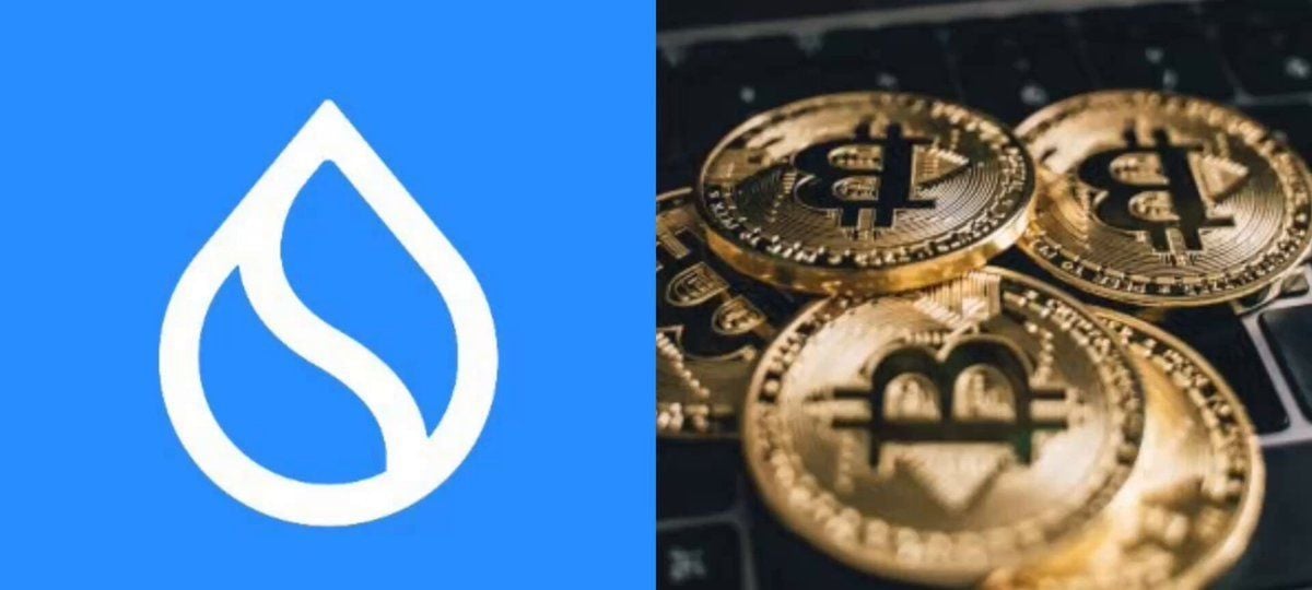 Sui Hashi测试网上线，比特币原生流动性破局在即