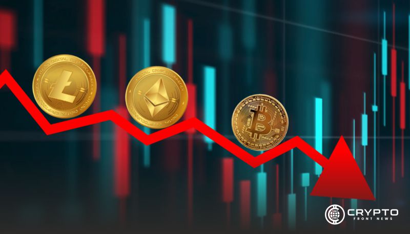 三大数字资产巨头成长期投资新锚点