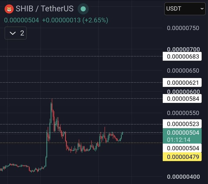 SHIB价格守稳支撑区，多头蓄力冲击关键阻力