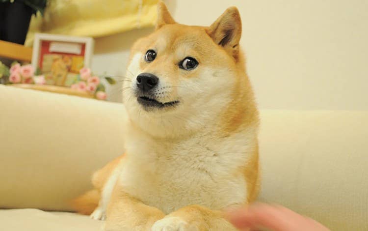 DOGE价格维持0.070美元，通胀机制引市场关注