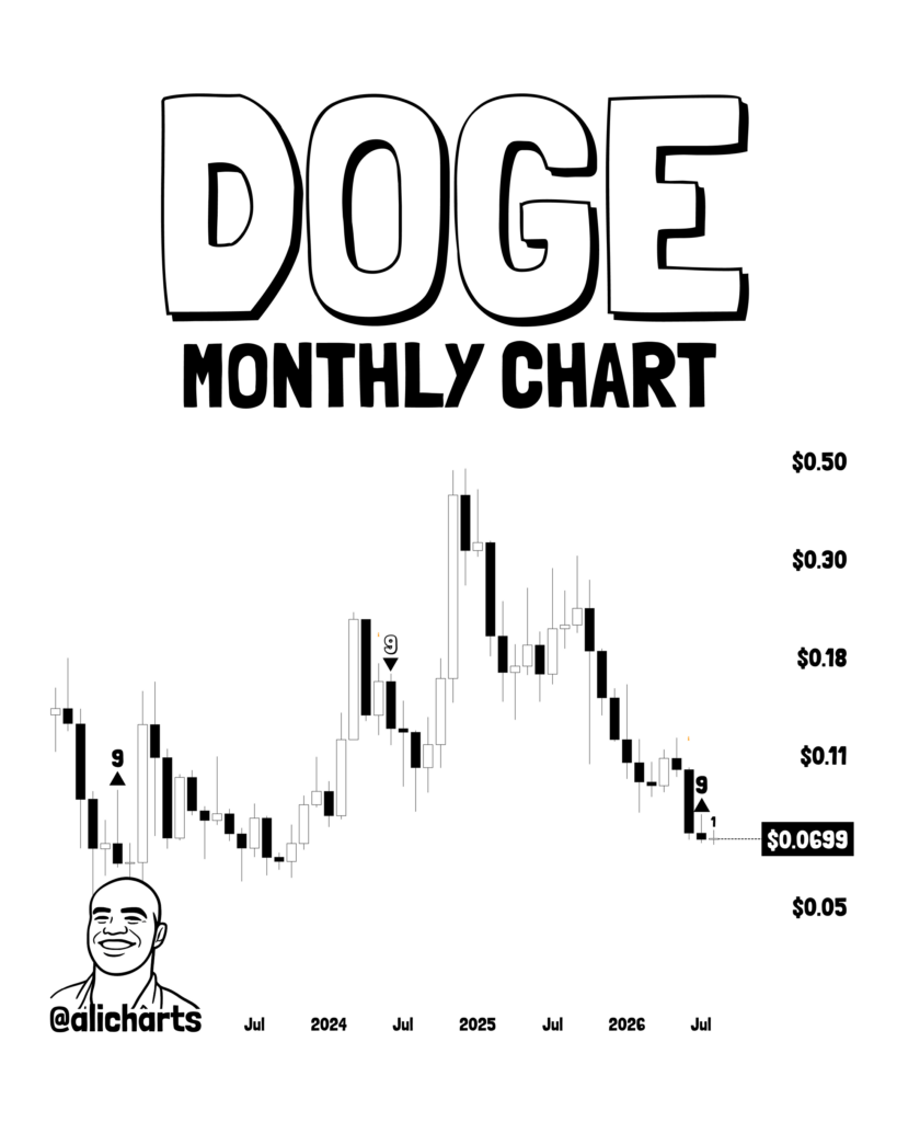 狗狗币逼近关键阻力：鲸鱼囤积与技术信号共振