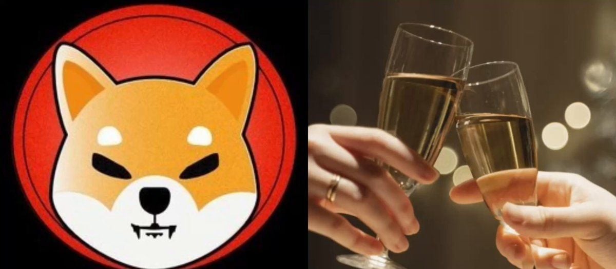 Shibarium生态爆发：TVL暴涨298%，SHIB价格却未跟上