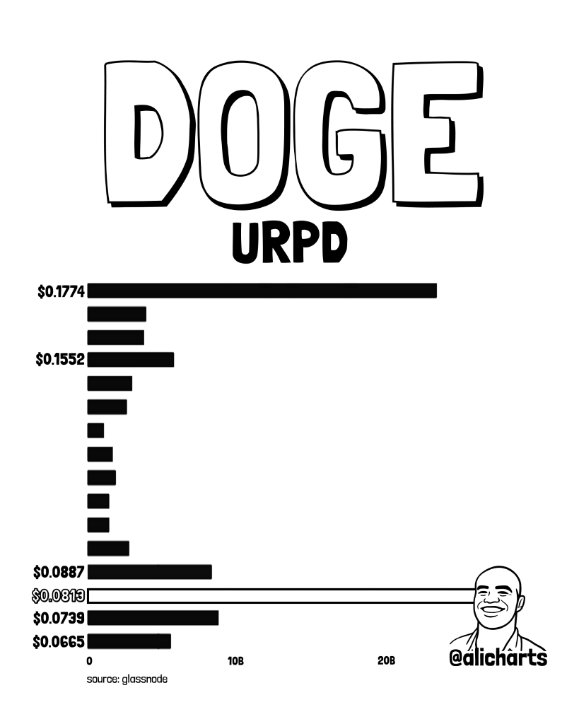 DOGE守住0.0813支撑，ETF资金回流成关键信号