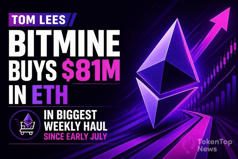 Bitmine持续加码以太坊，持仓逼近585万枚