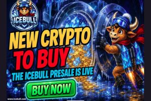 IceBull预售开启：高风险新币如何与成熟链对比？