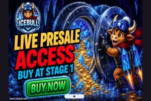 IceBull预售首阶段开启：早期入场未必锁定收益
