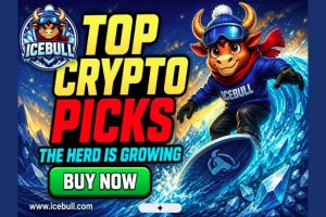 PEPE和BONK已完成突破行情，IceBull买家仍可在第一阶段入场