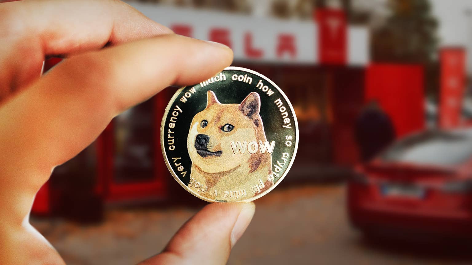 特朗普宣称“月球是我们的”，DOGE回应：“排队去”