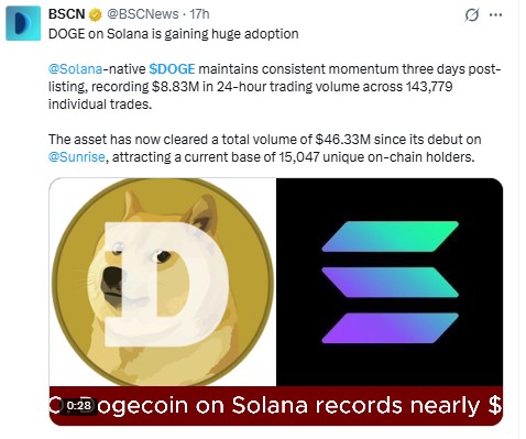 Solana链上DOGE数据截图