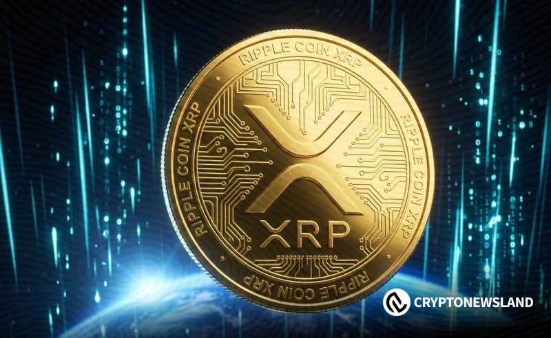 XRP市场前景追踪10万亿美元主张及XRPL