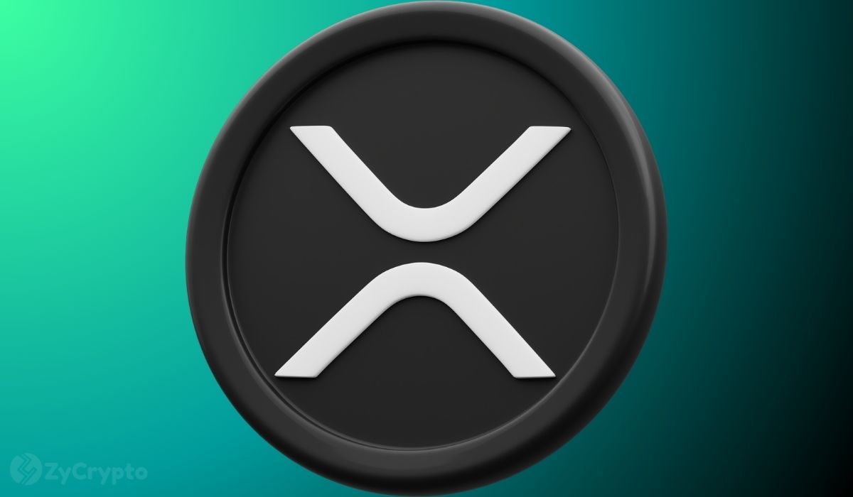XRP巨鲸全面爆发——币安交易量创6个月新高，巨鲸重新活跃
