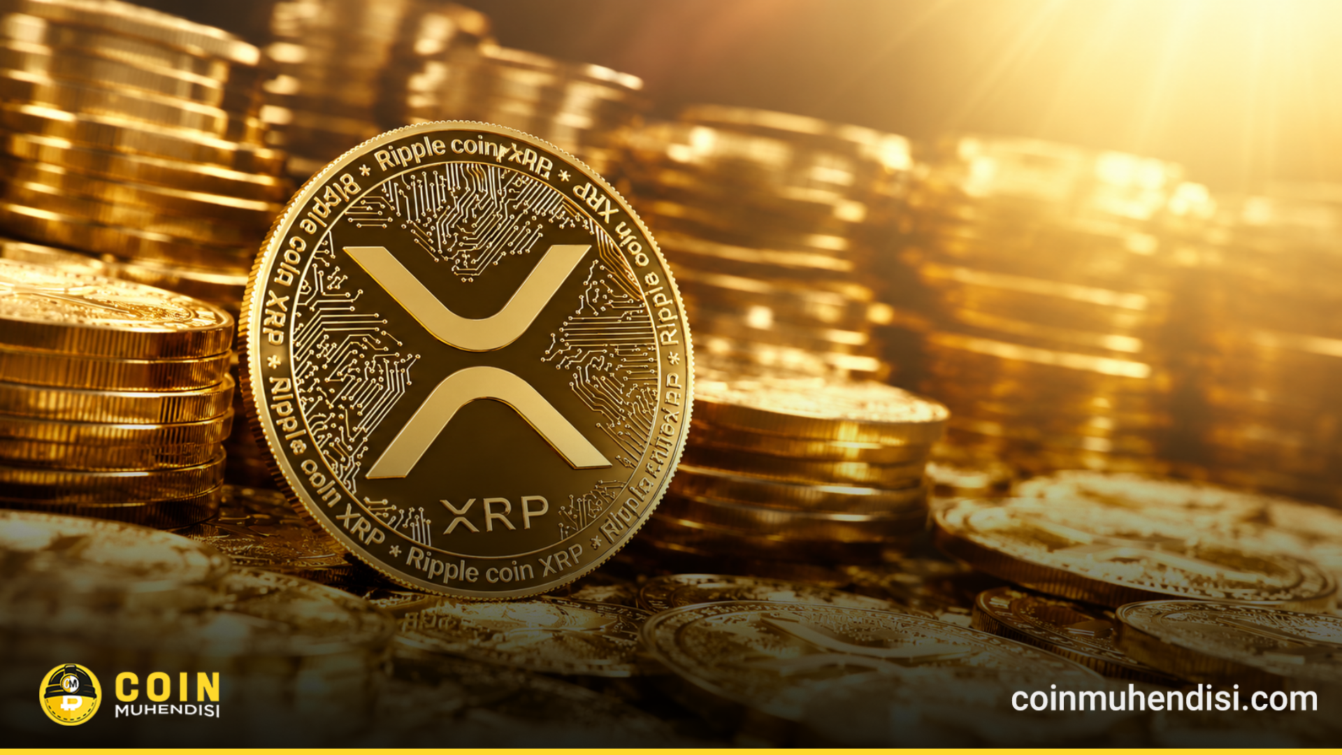 XRP重大预测：牛市即将来临？