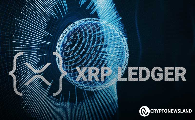 XRP Ledger 漏洞引发对供应安全的质疑