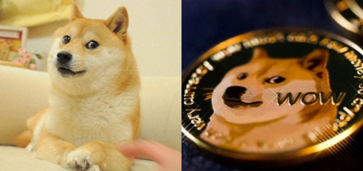 狗狗币的标志性面孔最初源自日本博客上的一张照片