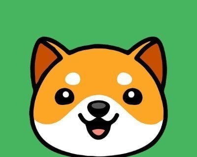 BabyDoge 即将突破 BNB Chain 200 万持有者大关